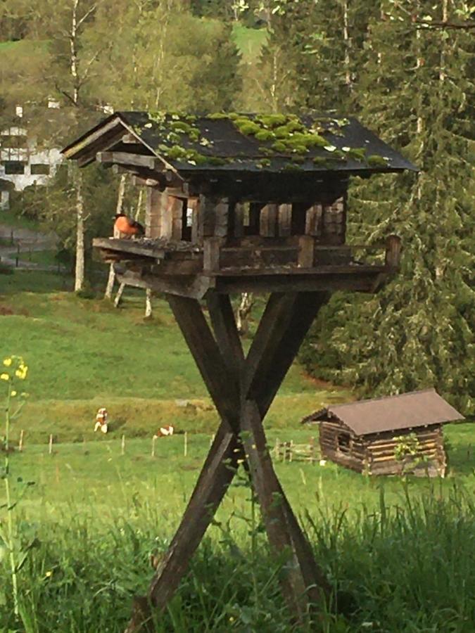 Vila Hof Hintererb Kitzbühel Exteriér fotografie